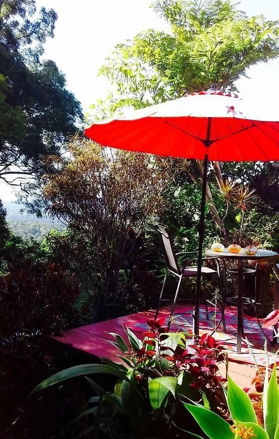 Montville B&B 0*,  Australia